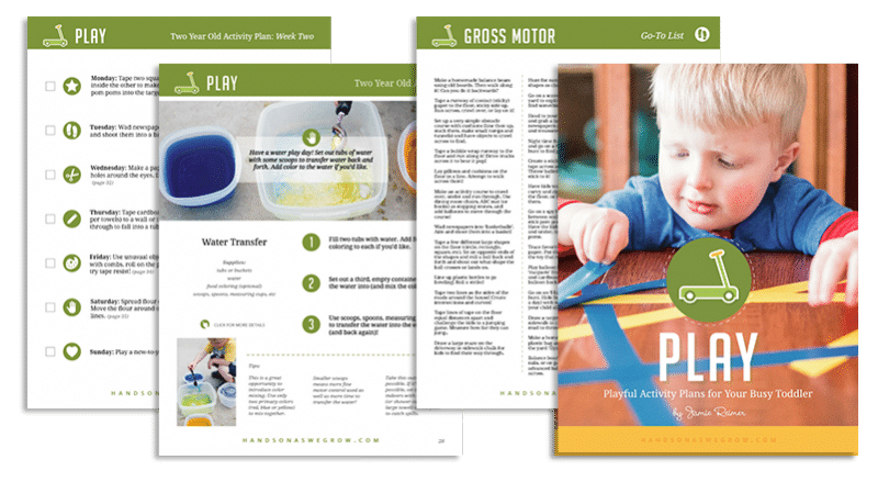 PLAY: Playful Activity Plans for Your Busy Toddler ($12 Retail Value)